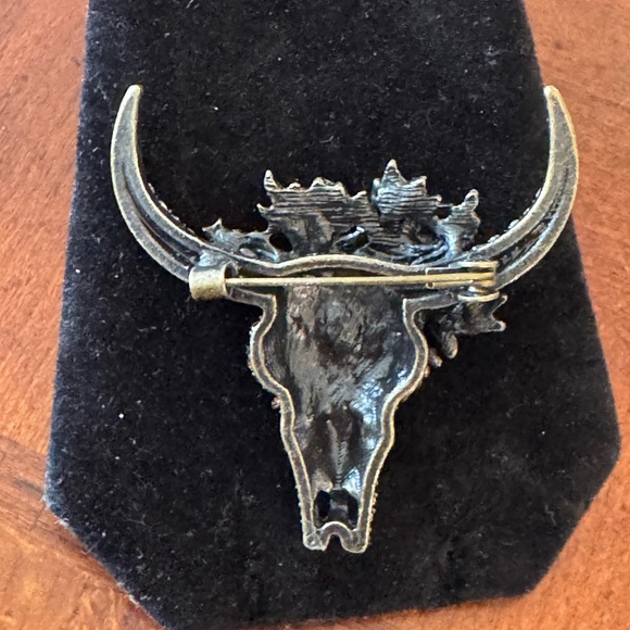 Rhinestone Western, Cowboy, Longhorn Skull Bull Head, Southwestern Brooch, Pin - Picture 5 of 6